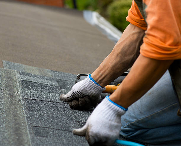 Quick and Trustworthy Emergency Roof Repair Services in Bellwood, PA